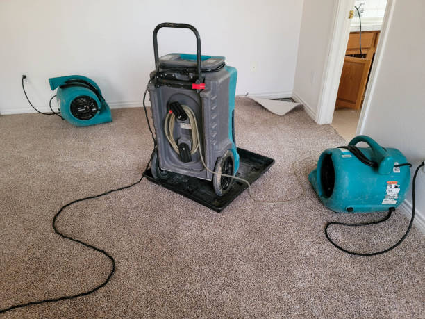 Best Water damage cleanup near me  in Crystal Lakes, OH