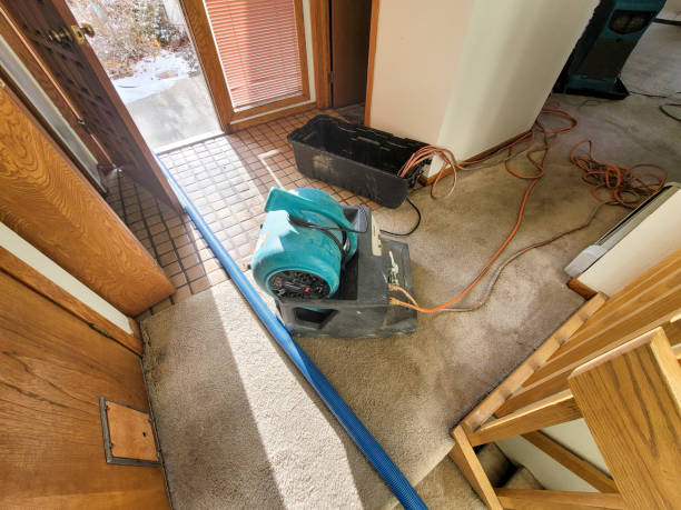 Best Flood restoration services  in Crystal Lakes, OH