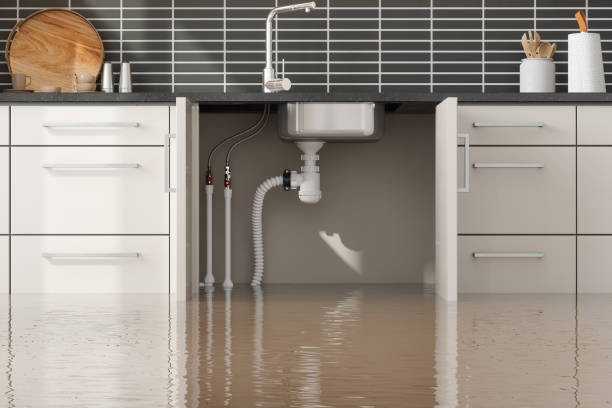 Best Sewage cleanup and water damage restoration  in Crystal Lakes, OH