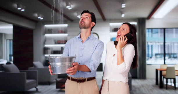 Best Water damage restoration company  in Crystal Lakes, OH