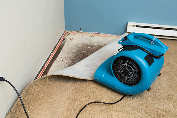 Best Water damage restoration near me  in Crystal Lakes, OH